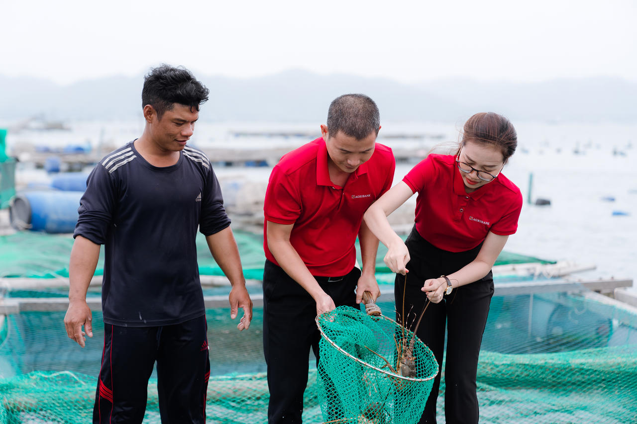 Không chỉ dừng lại ở việc cấp vốn, các cán bộ tín dụng Agribank còn thường xuyên phối hợp cùng Tổ trưởng Tổ vay vốn tích cực tư vấn, định hướng cho bà con áp dụng khoa học kỹ thuật vào sản xuất, phù hợp với xu hướng của thị trường.