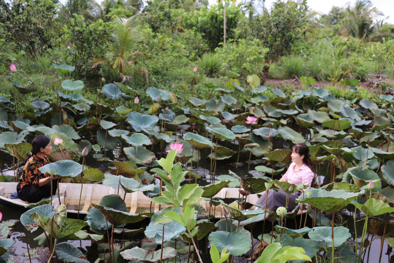 Cán bộ tín dụng NHCSXH tỉnh An Giang tích cực, nhiệt tình hướng dẫn Nhân dân sử dụng vốn chính sách phát triền sản xuất, kinh doanh.