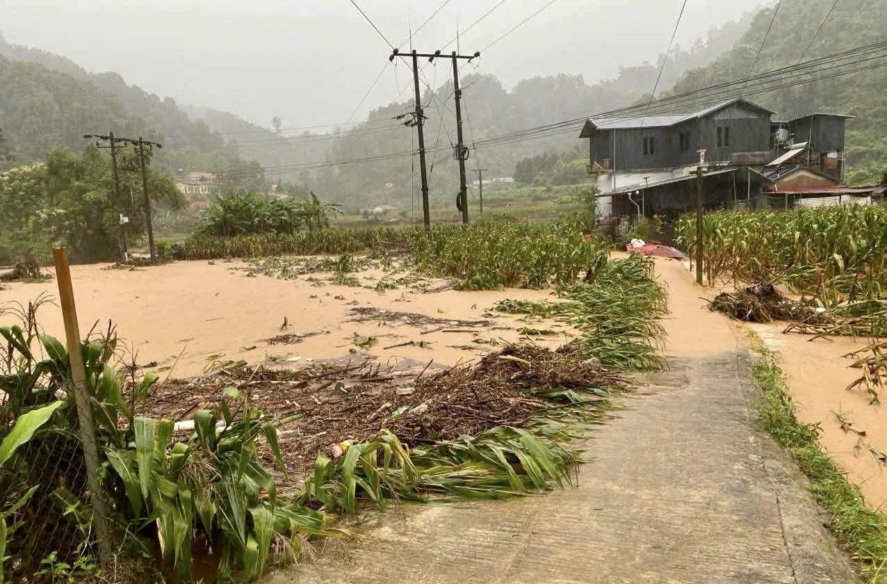 Nhiều diện tích lúa, hoa màu bị ngập sâu, nước tràn vào các vùng trũng thấp. (Ảnh: PV)