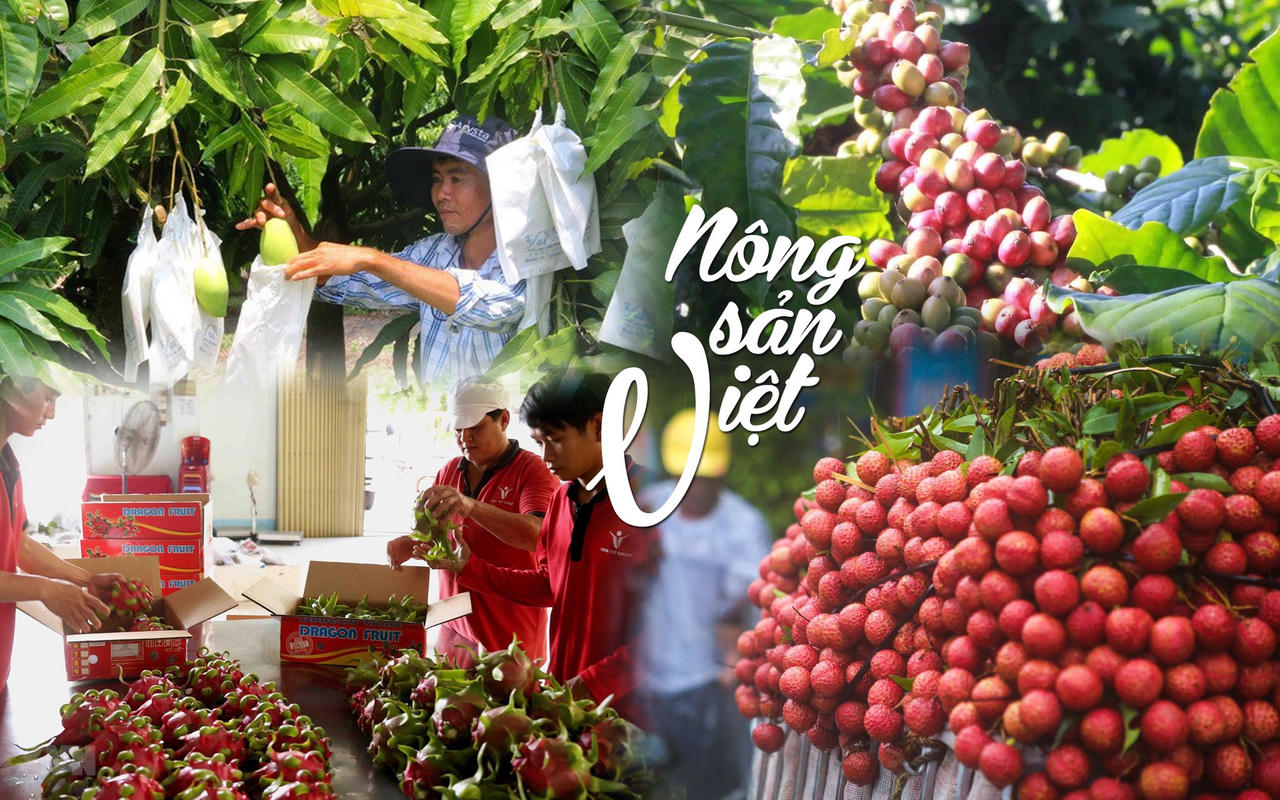 Cơ hội mới cho nông sản Việt
