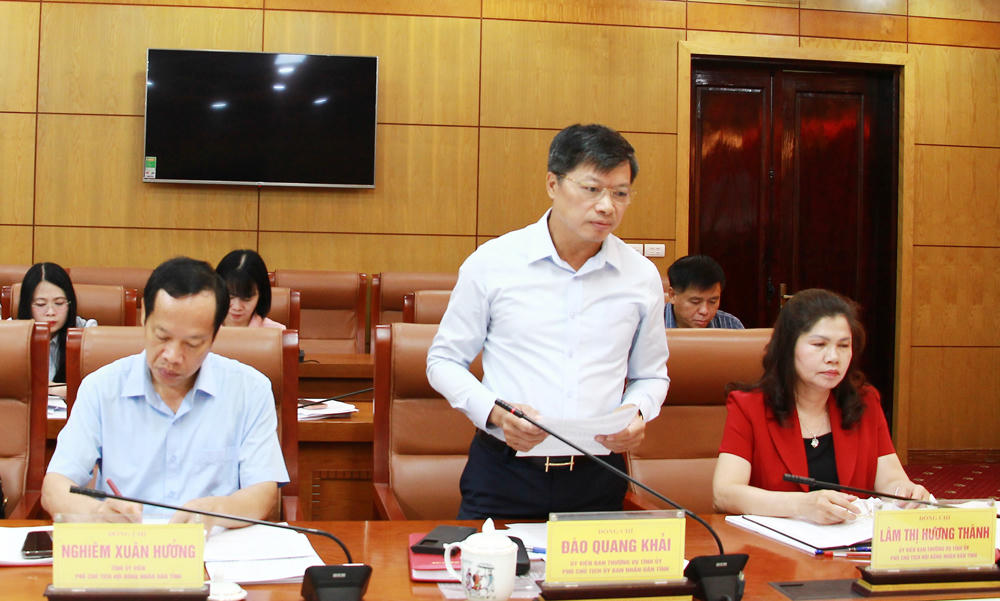 Phó Chủ tịch UBND tỉnh Bắc Ninh -&nbsp; ông Đào Quang Khải phát biểu tại phiên họp.