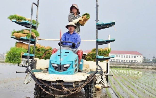 Áp dụng công nghệ mạ khay, máy cấy xã Cẩm Hưng tập trung vào các giải pháp thúc đẩy sản xuất nông nghiệp theo hướng hàng hóa, chất lượng cao.