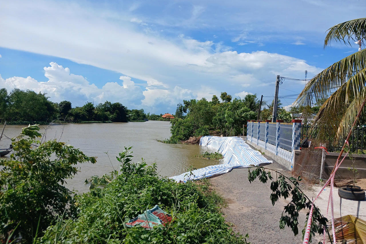 Sạt lở nghiêm trọng ven bờ sông Cần Lố, Đồng Tháp