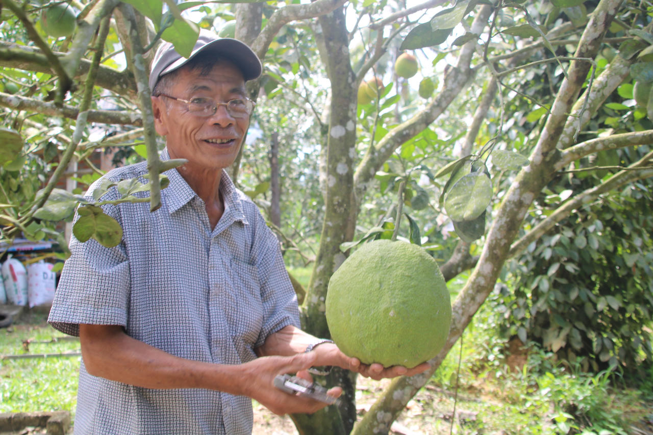 Gia Lai đẩy mạnh phong trào nông dân thi đua sản xuất, kinh doanh giỏi 