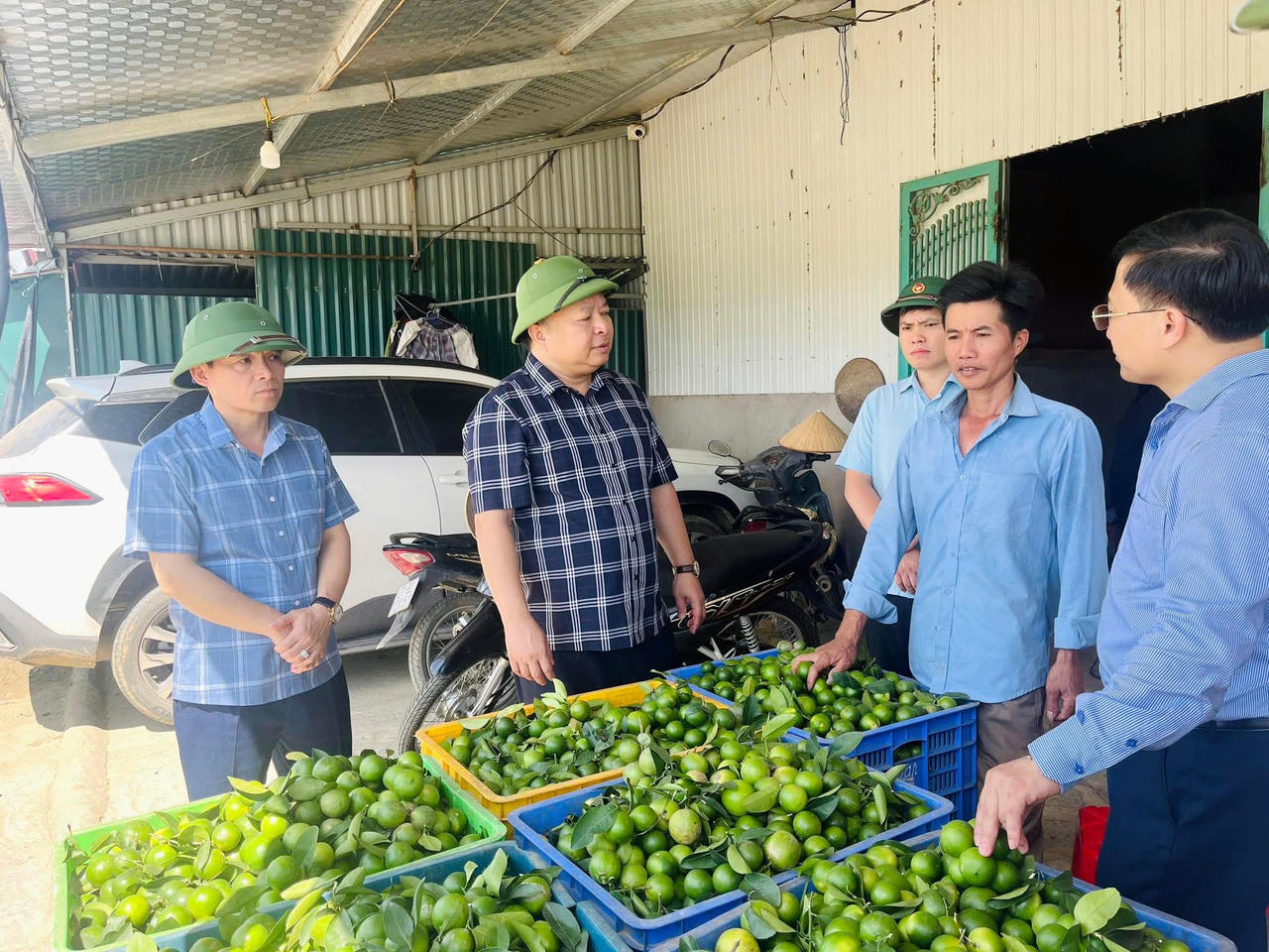 Lão nông giữ lửa, người trẻ chuyển đổi số: ‘Lực đẩy kép’ cho nông sản OCOP Bình Ca