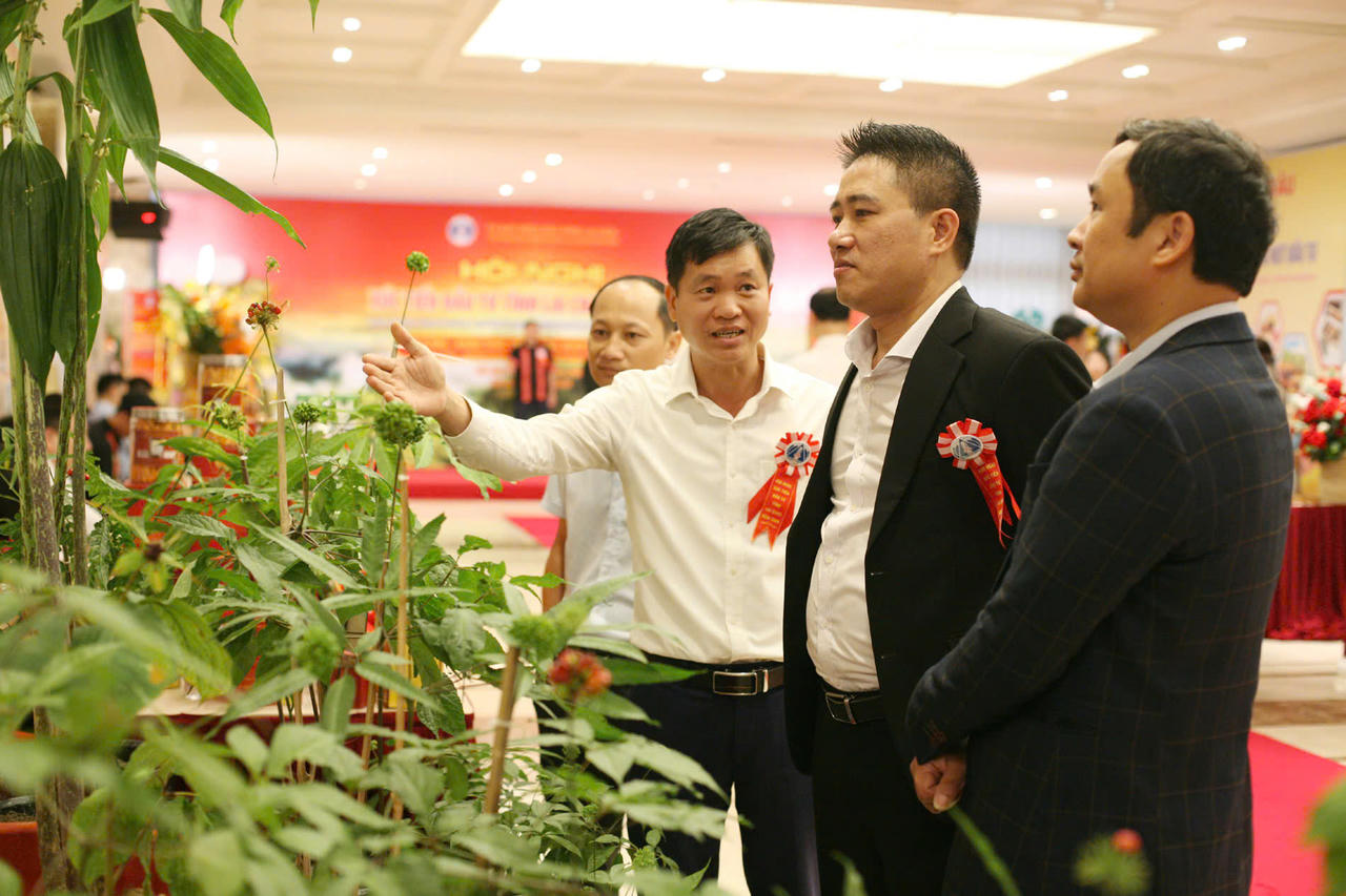 Lai Châu trao quyết định chấp thuận chủ trương đầu tư, MOU gần 200.000 tỷ đồng