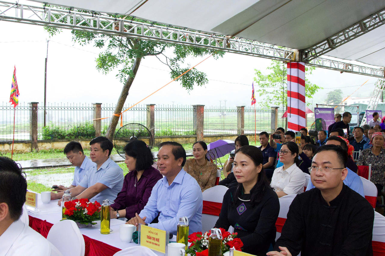 Đền Tượng – Dấu ấn văn hóa, tín ngưỡng giữa lòng đất Hợp Thành