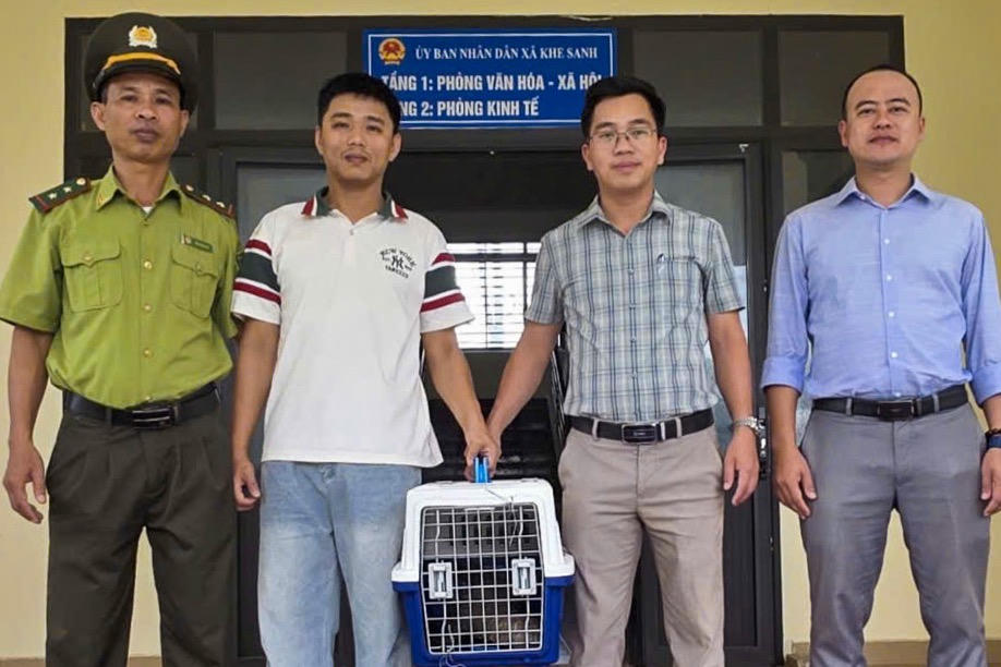 Một cá thể tê tê Java quý hiếm đã được cứu hộ, đưa về Vườn Quốc gia Phong Nha - Kẻ Bàng