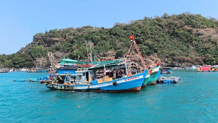 Cà Mau: Chống khai thác IUU gắn với bảo đảm sinh kế cho ngư dân