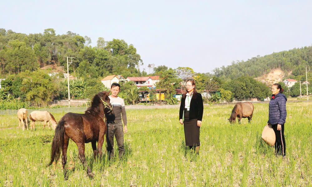 Bắc Ninh: Giữ mạch chảy vốn chính sách sau hợp nhất