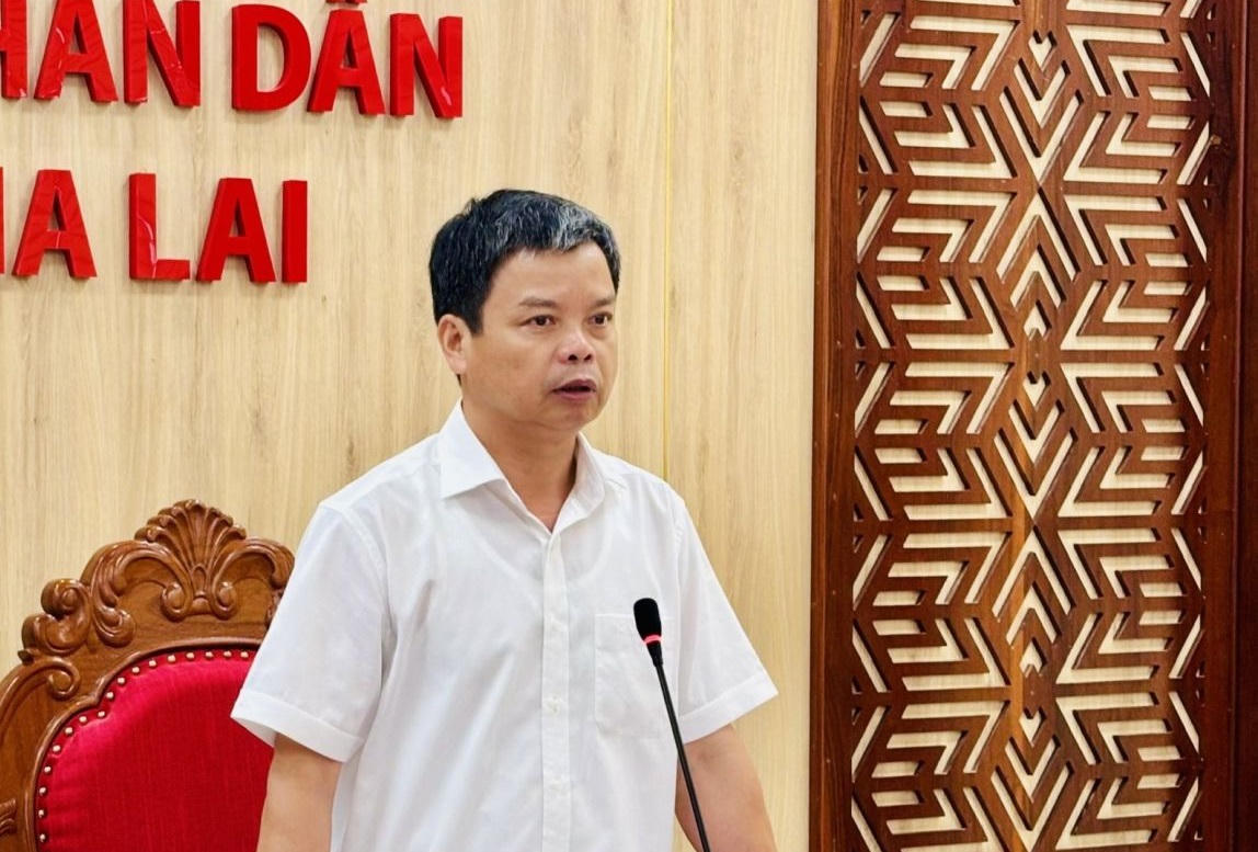 Ông Nguyễn Hữu Quế - Phó Chủ tịch UBND tỉnh Gia Lai phát biểu tại sơ kết. (Ảnh: Ngọc Minh)