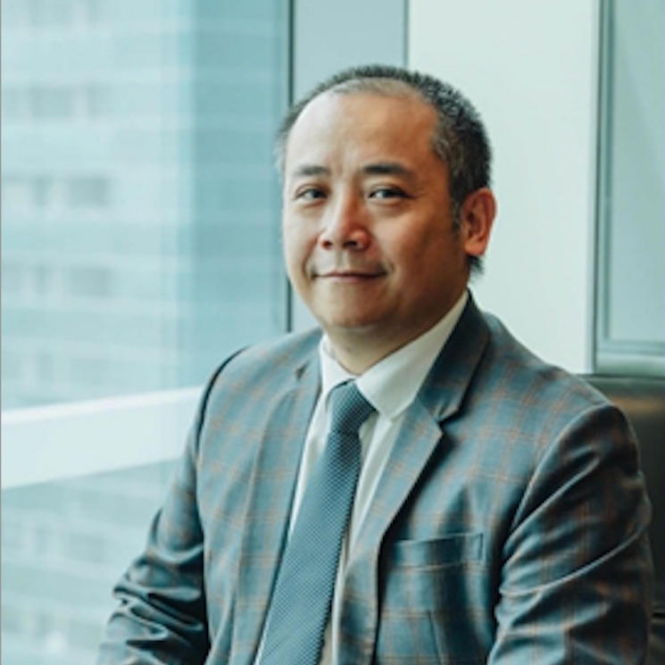 TS David Nguyễn - Chủ tịch Hiệp hội Doanh nghiệp Việt Nam tại Singapore, Chủ tịch Regulus Investment & Capital Holdings. 