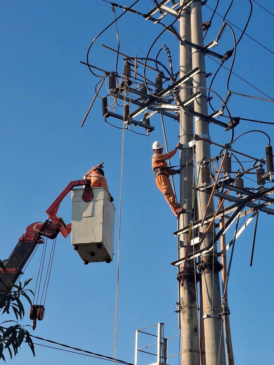 Điện lực Nghệ An thông tin về quy trình đo đếm, phát hành hóa đơn tiền điện tháng 6