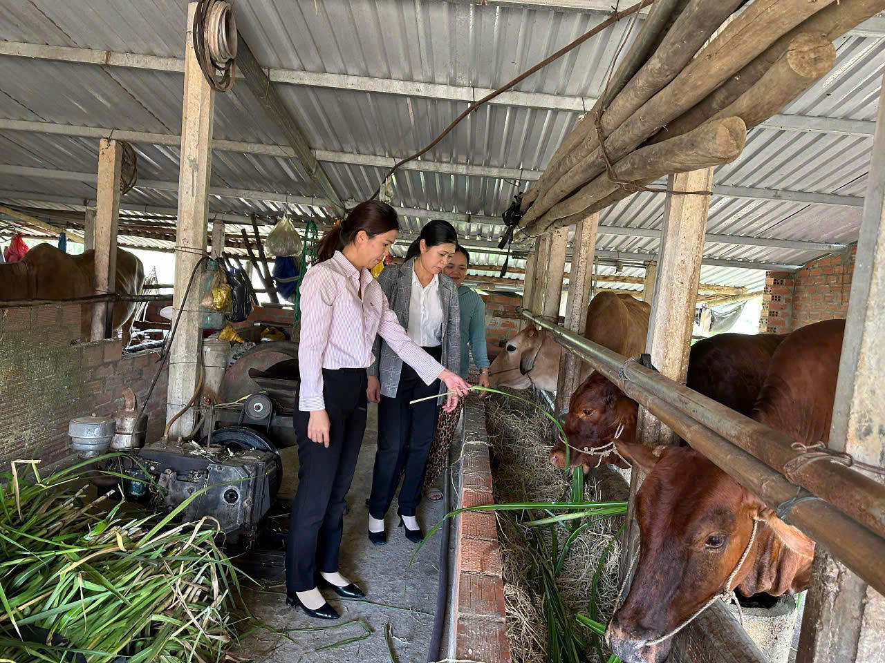 Lãnh đạo và cán bộ tín dụng NHCSXH tỉnh Giá Lai thường xuyên đi cơ sở, tận tình hướng dẫn Nhân dân sử dụng vốn ưu đãi phát triển sản xuất, kinh doanh, cải thiện cuộc sống.