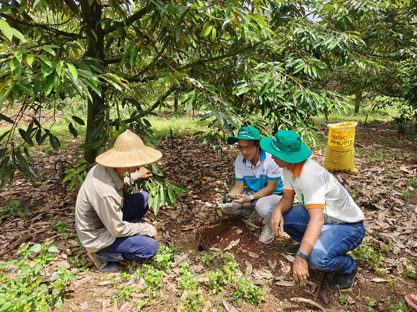 Các sản phẩm phân bón Phú Mỹ luôn được bà con nông dân tin tưởng sử dụng.