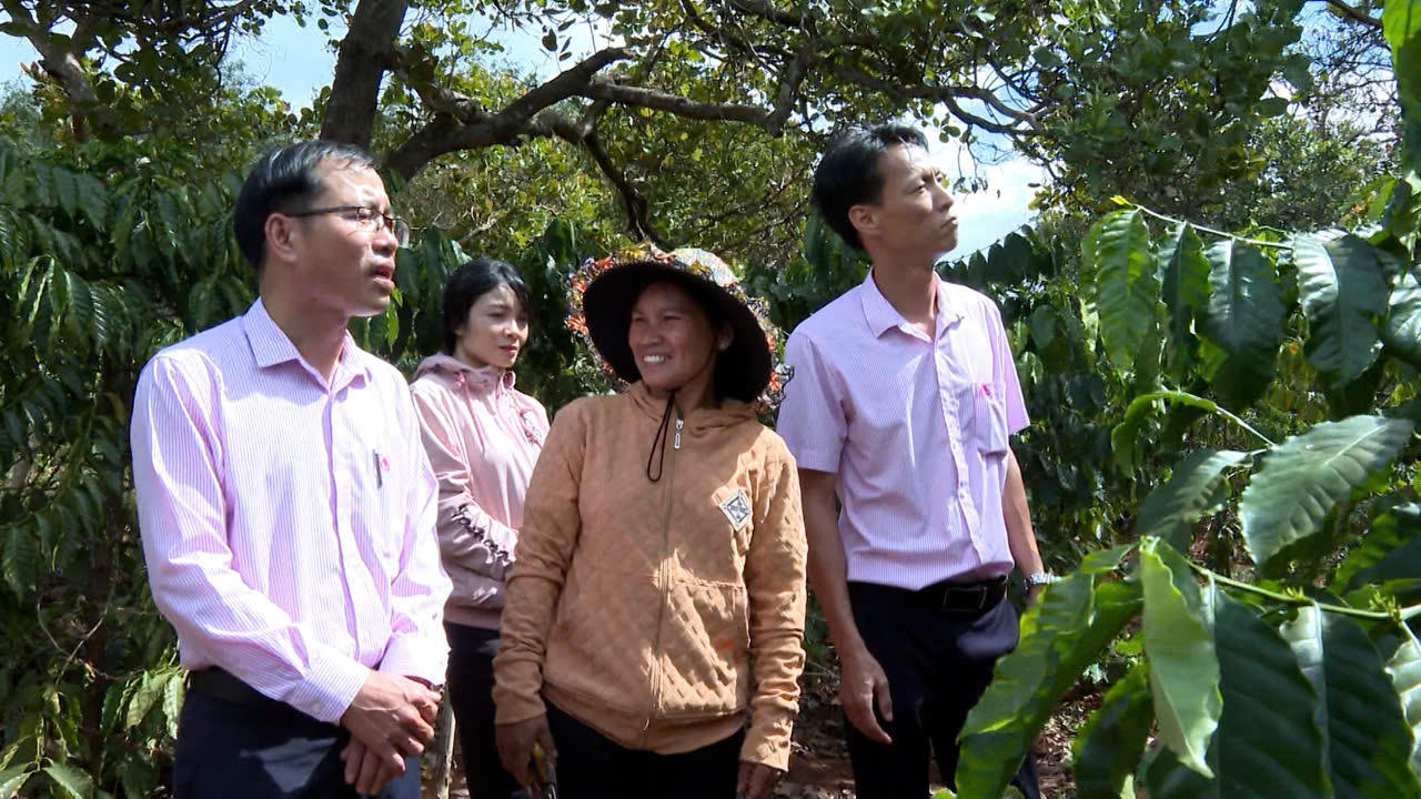 Tín dụng chính sách 'đồng hành' cùng Gia Lai trên hành trình giảm nghèo bền vững