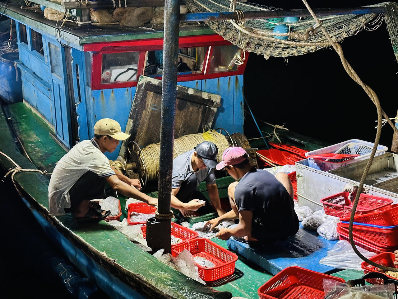 Dưới ánh đèn, ngư dân như đang chạy đua với thời gian để lựa cá từ tàu, ghe để đưa vào bờ.
