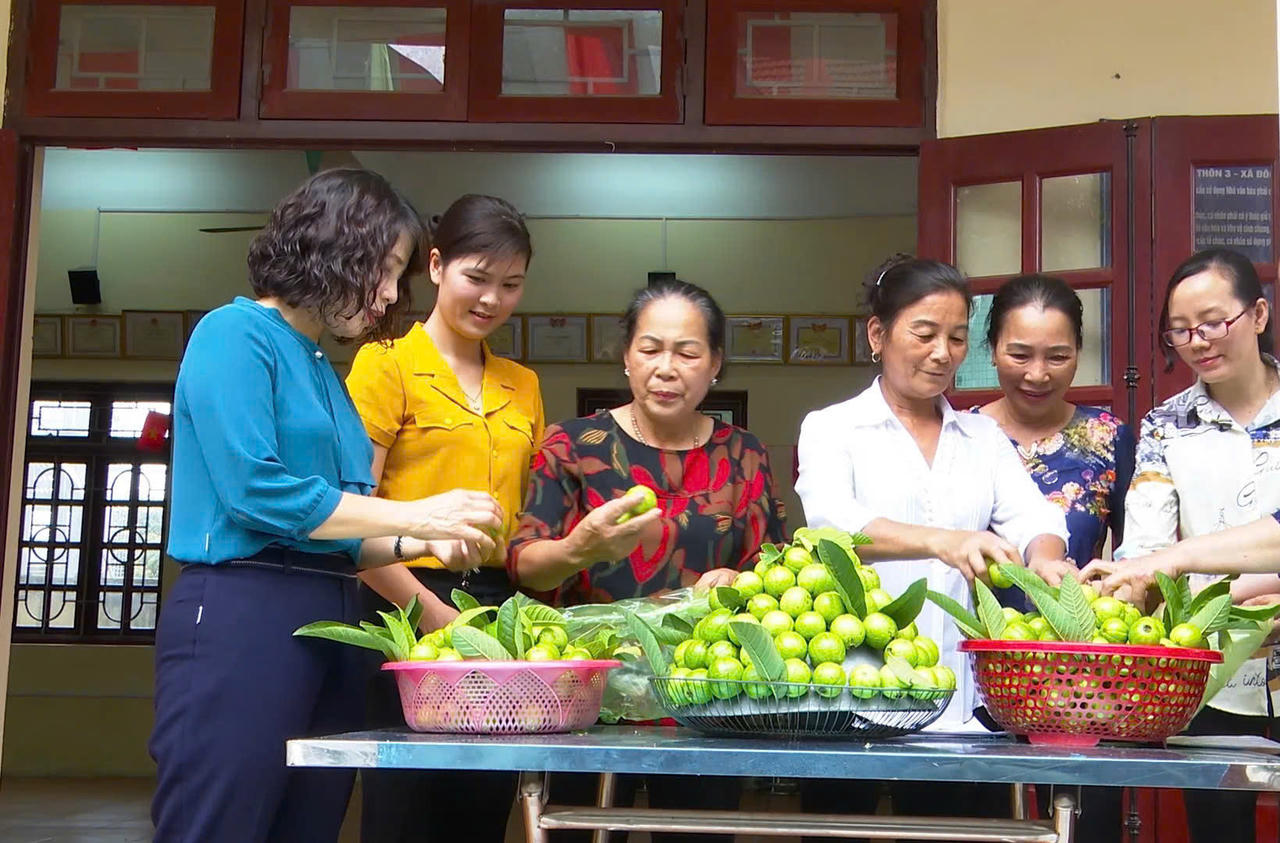 Với giá bán buôn tại vườn 15.000 – 20.000 VNĐ/kg (chính vụ), giá bán lẻ thị trường/trái vụ25.000 – 40.000 VNĐ/kg, chi phí đầu tư ban đầu khoảng 20 triệu VNĐ/hécta, sau 6 tháng cây ổi đem lại hiệu quả kinh tế cao gấp nhiều lần lúa hay hoa màu khác ( Ảnh: Nguyễn Minh)