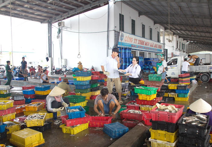 Cà Mau: Triển khai đồng bộ các giải pháp nâng cao hiệu quả chống khai thác IUU