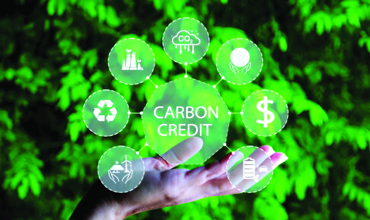 Việt Nam có cơ hội trở thành một trong những quốc gia có tiềm năng lớn về cung cấp tín chỉ carbon. (Ảnh: Huỳnh Hiếu)