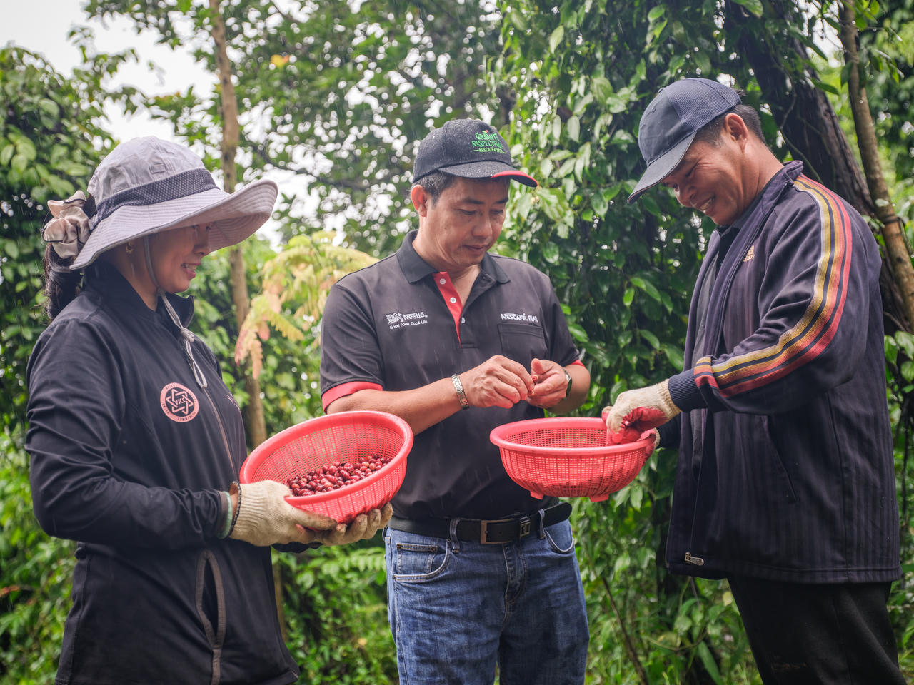 Phía sau hạt cà phê được canh tác bền vững: Câu chuyện về an toàn và trách nhiệm
