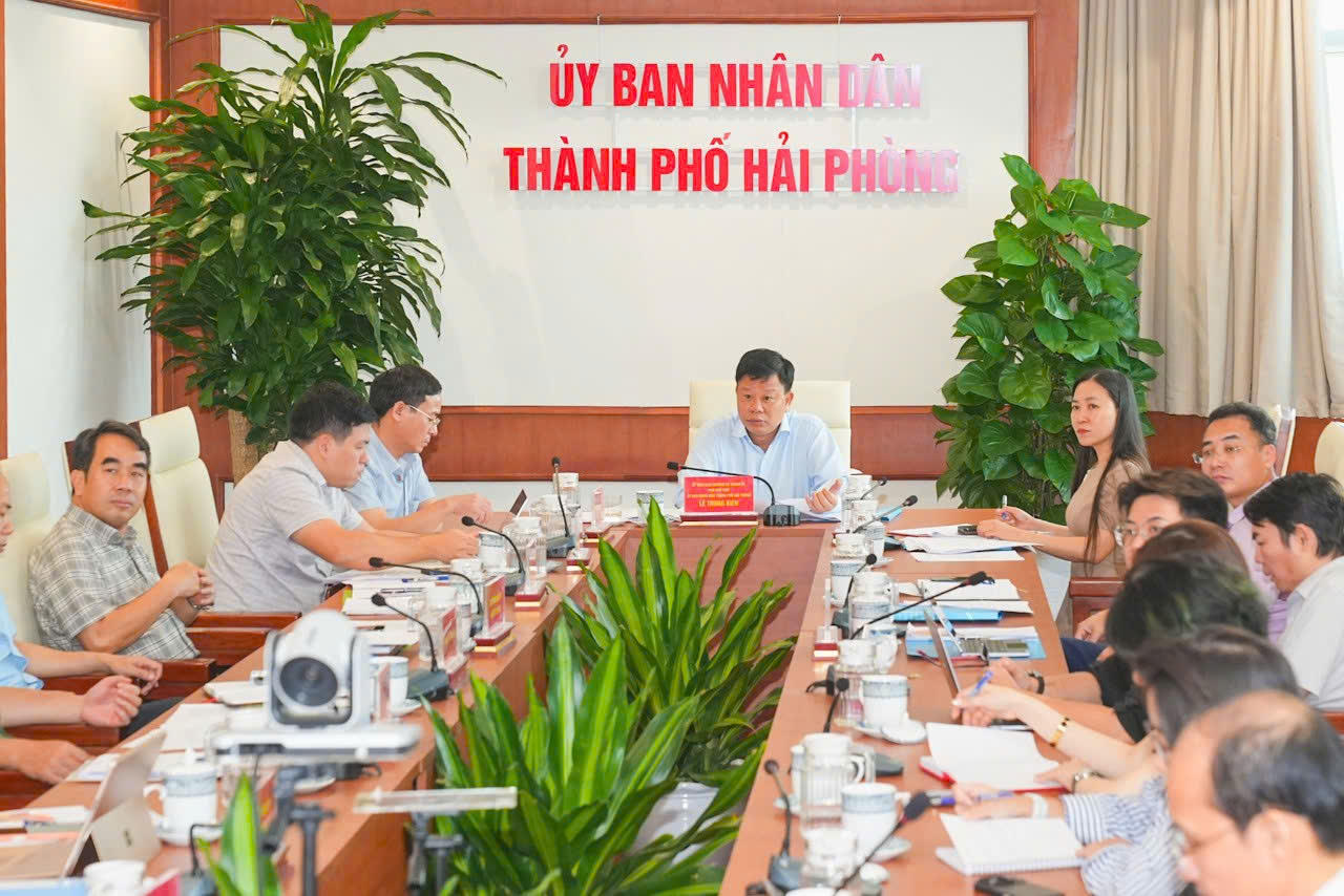 Hải Phòng khẩn trương chuẩn bị khai trương phố đi bộ, phát triển kinh tế đêm từ đầu tháng 8