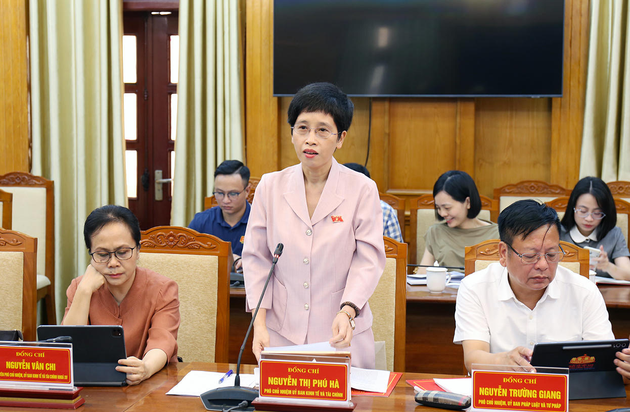 Bà Nguyễn Thị Phú Hà, Phó Chủ nhiệm Ủy ban Kinh tế và Tài chính của Quốc hội phát biểu kết luận buổi làm việc