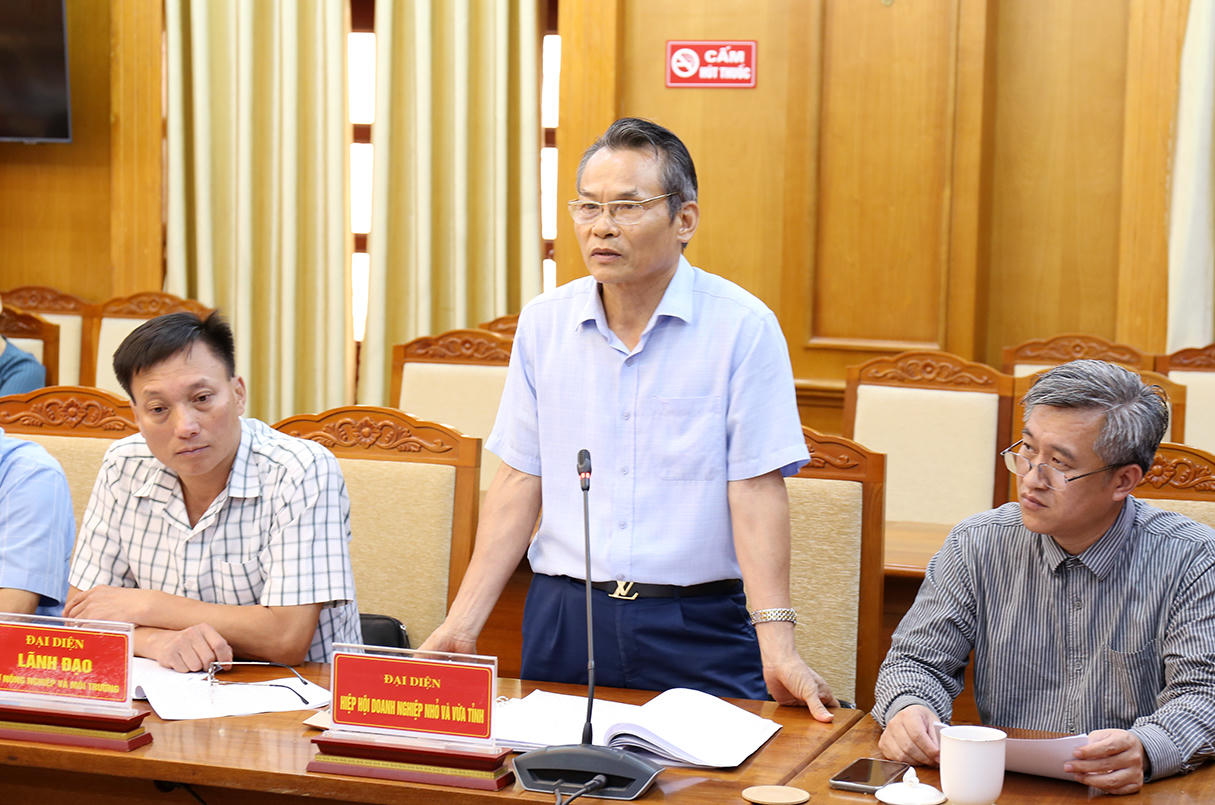 Đại diện Hiệp hội DNNVV tỉnh phát biểu kiến nghị tại buổi làm việc.