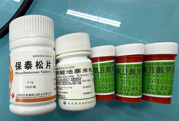 Thuốc người bệnh sử dụng có chứa chất cấm Phenylbutazone. Ảnh: BVCC