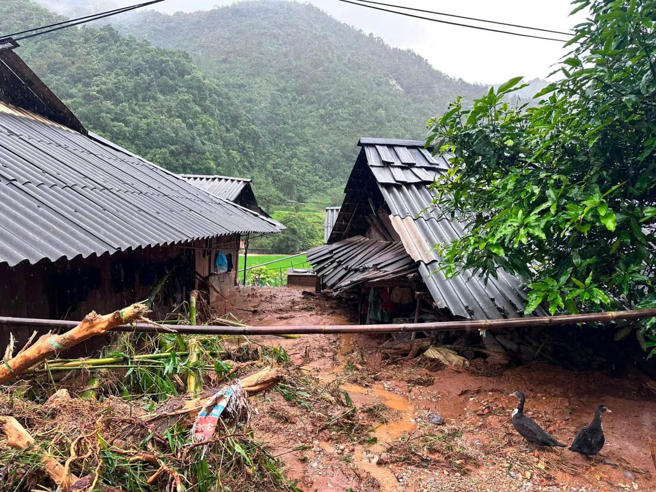 Sơn La: Tiếp thêm sức mạnh để Ngọc Chiến đứng dậy sau lũ dữ