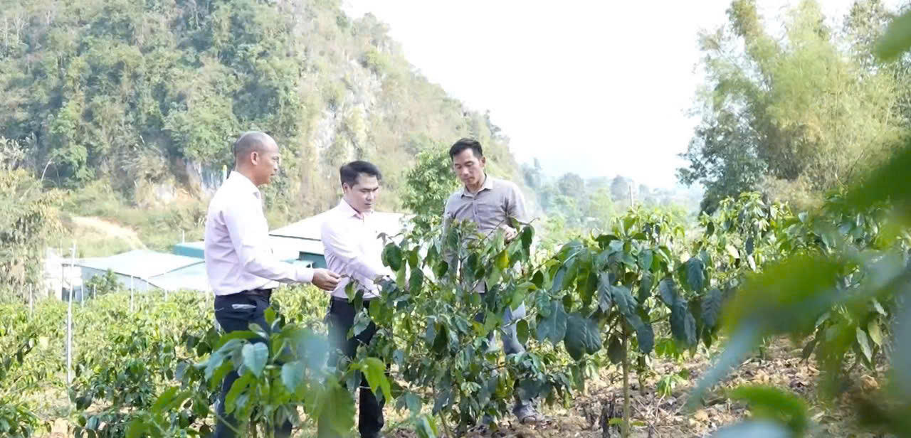 Tín dụng chính sách - 'điểm tựa vững chắc' giúp đồng bào Sơn La thoát nghèo