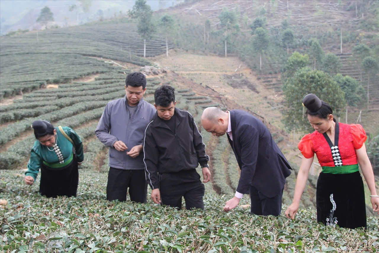 Lãnh đạo và cán bộ tín dụng NHCSXH Sơn La luôn đồng hành, tận tình giúp đỡ người dân sử dụng nguồn vốn chính sách để phát triển sản xuất, kinh doanh.