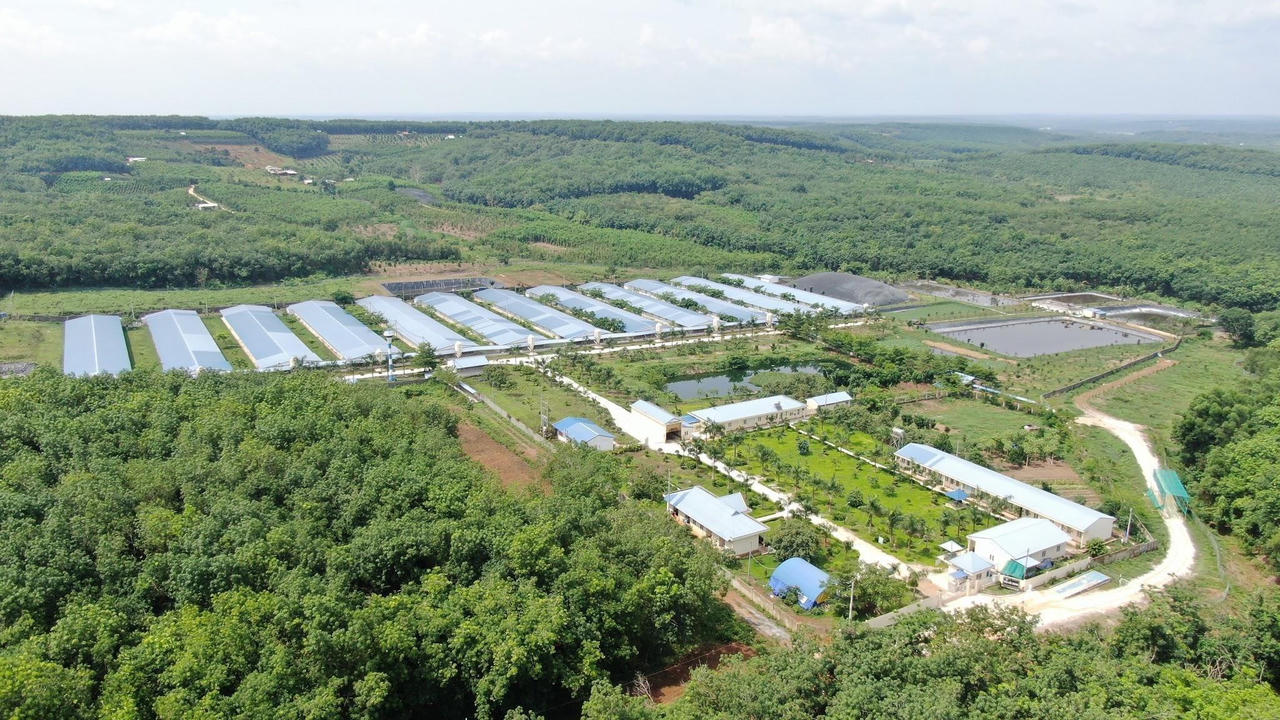C.P. Việt Nam phát triển trang trại theo hướng kiểm soát an toàn sinh học, chất lượng đầu vào và truy xuất nguồn gốc. Ảnh: C.P. Việt Nam