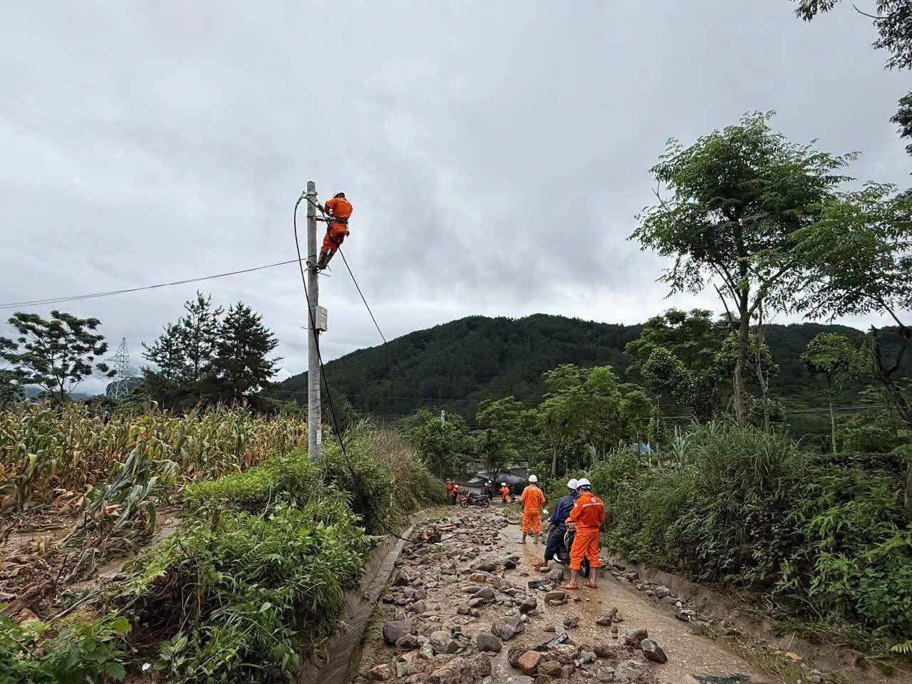 Điện lực miền Bắc đã khôi phục điện cho gần 92% khách hàng bị ảnh hưởng bởi lũ