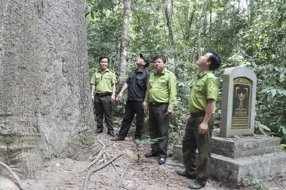 Lực lượng chức năng thường xuyên tuần tra kiểm soát rừng đảm bảo an toàn. Ảnh: Lê Lối