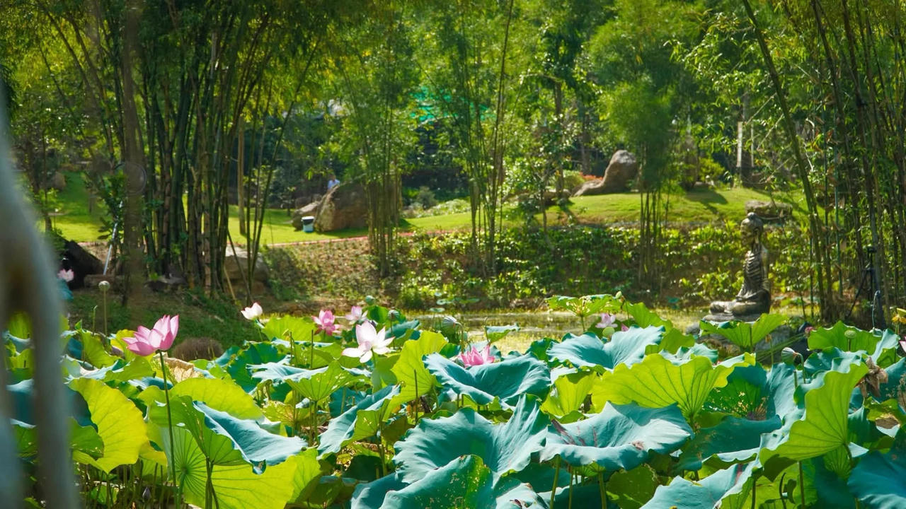 Ảnh minh họa. 