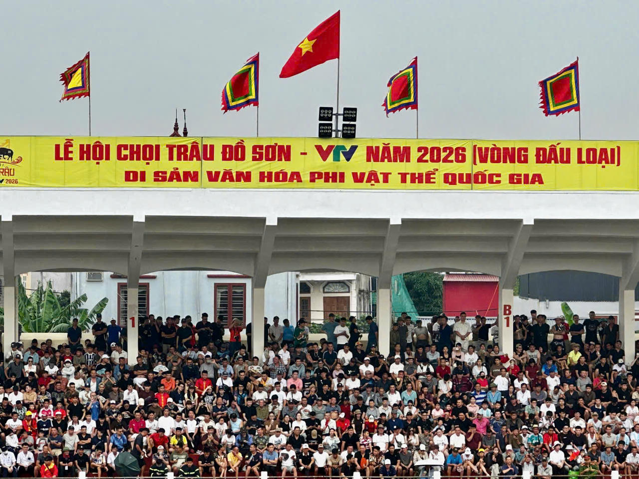 Khai mạc vòng đấu loại Lễ hội chọi trâu truyền thống Đồ Sơn sau 8 năm tạm dừng