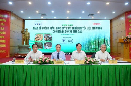 Thúc đẩy phát triển nguyên liệu bền vững cho ngành gỗ tỷ USD