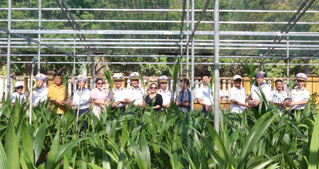 Tiếp nhận 8.000 cây dừa hưởng ứng Chương trình 'Xanh hóa Trường Sa'