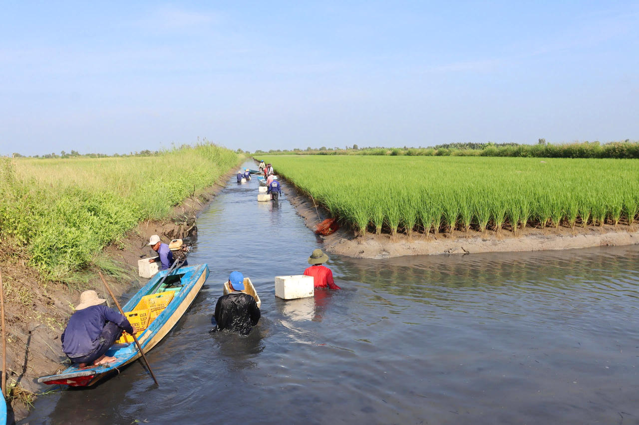 Cà Mau có nhiều tiềm năng trở thành địa phương tiên phong trong phát triển tăng trưởng xanh, kinh tế tuần hoàn, phát thải thấp và thích ứng với biến đổi khí hậu (Ảnh: Trọng Nghĩa).