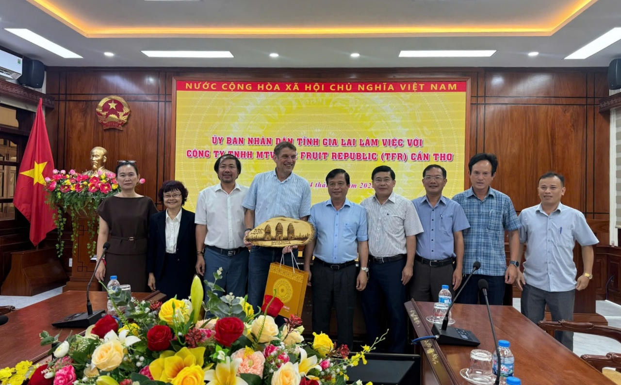 Doanh nghiệp Hà Lan tìm cơ hội đầu tư tại Gia Lai
