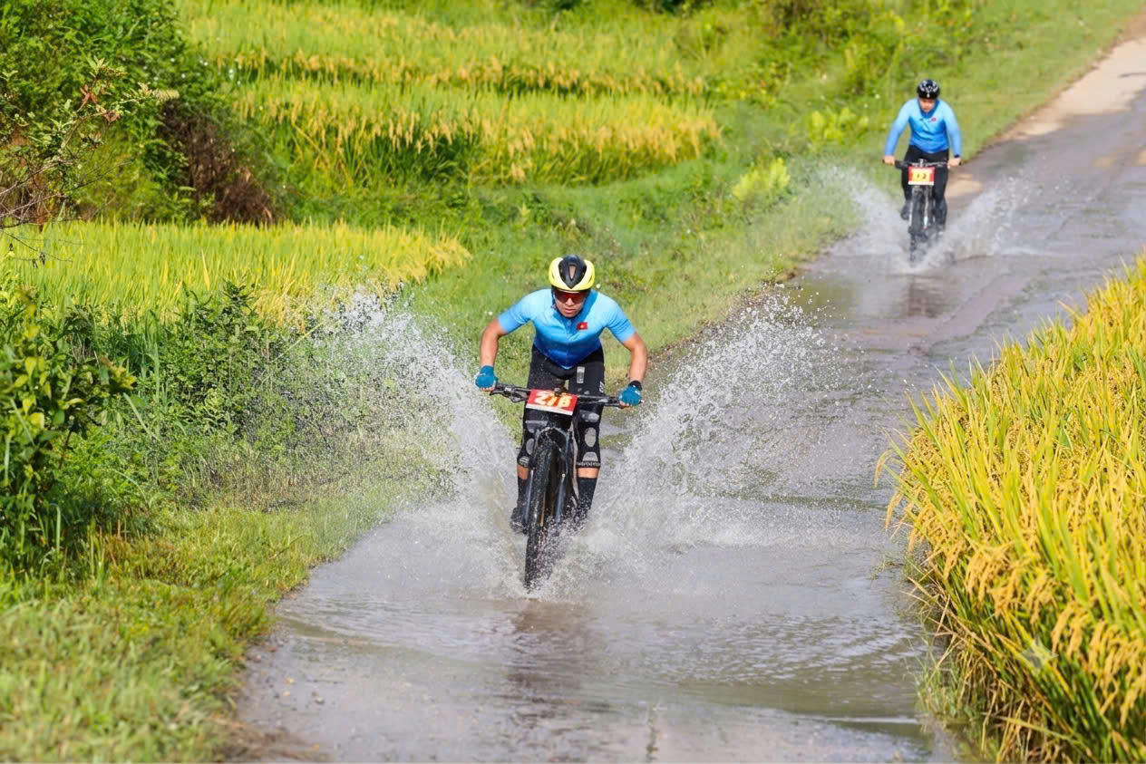 Gay cấn Giải đua xe đạp địa hình 'Vút bay trên sóng lúa vàng' ở Mường Bo