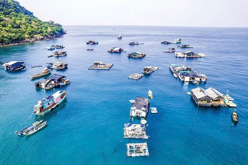 Tín dụng chính sách: Đồng tâm, hợp lực phát triển kinh tế biển ở Kiên Hải