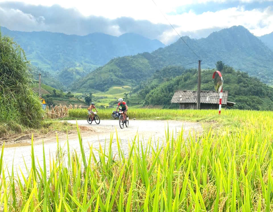 Gay cấn Giải đua xe đạp địa hình 'Vút bay trên sóng lúa vàng' ở Mường Bo