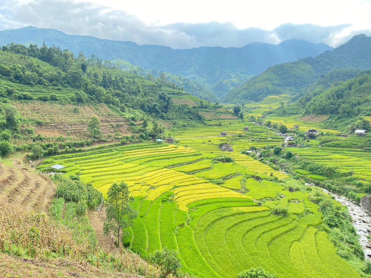 Không chỉ là một giải đấu thể thao, sự kiện còn góp phần quảng bá hình ảnh Mường Bo vùng đất giàu bản sắc văn hóa với hệ thống ruộng bậc thang đặc sắc, đồng thời thúc đẩy phát triển du lịch trải nghiệm và du lịch thể thao của địa phương. (Ảnh: Nguyễn Hải).