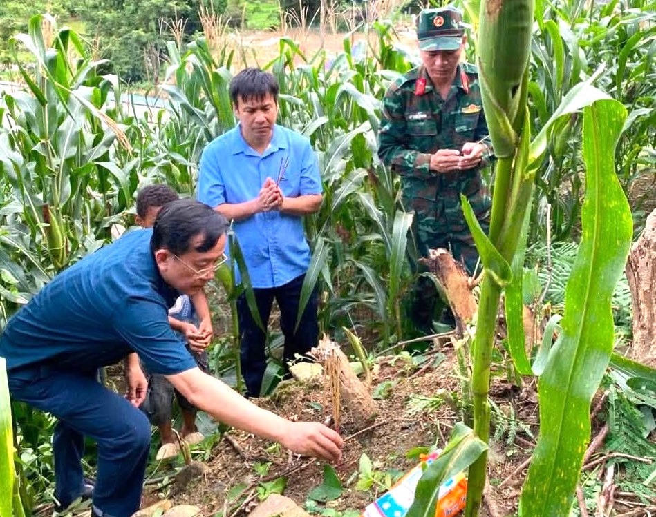 Kêu gọi nhân dân cung cấp thông tin xác minh 6 ngôi mộ nghi là mộ liệt sĩ tại xã Pa Tần