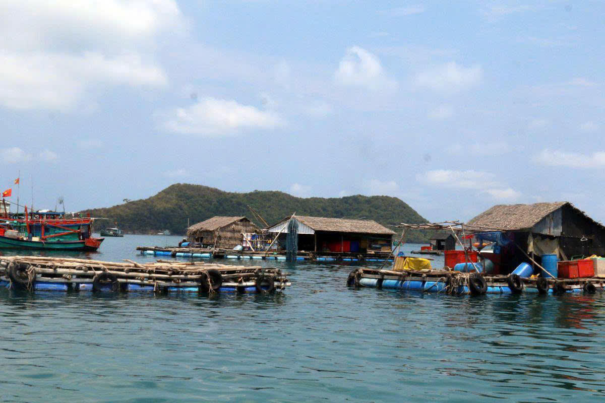 Mô hình nuôi trồng thủy sản của người dân An Giang phát triển nhờ nguồn vốn tín dụng chính sách.
