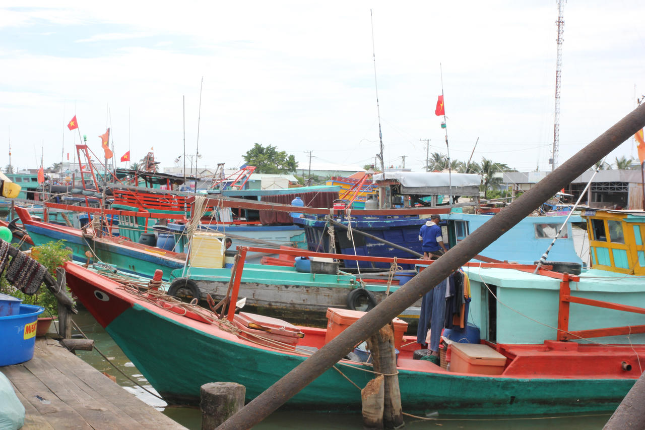 Cà Mau có đội tàu khai thác hải sản xa bờ lớn nhất ĐBSCL, đồng thời quyết liệt thực hiện các giải pháp chống khai thác IUU, hướng tới mục tiêu sớm gỡ cảnh báo "thẻ vàng" của EC (Ảnh: Trọng Nghĩa).