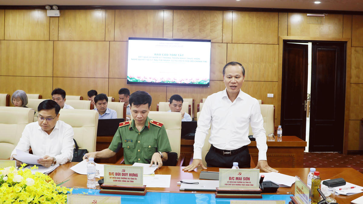 Ông Mai Sơn, Ủy viên Ban thường vụ Tỉnh ủy, Phó Chủ tịch Thường trực UBND tỉnh phát biểu tại hội nghị. ( Ảnh CTTĐT Bắc Ninh)