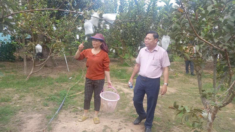 Dấu ấn tín dụng chính sách ở Bình Sơn